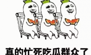 开源模型TOP5，被中国厂商包圆了