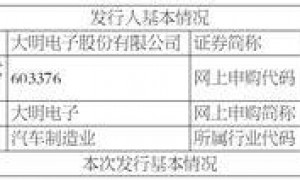 大明电子股份有限公司 首次公开发行股票并在主板上市 招股意向书提示性公告