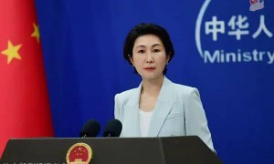 “时隔两年，日本扇贝出口至中国”，外交部回应