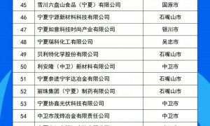 宁夏民企百强发布！多家上市公司在列