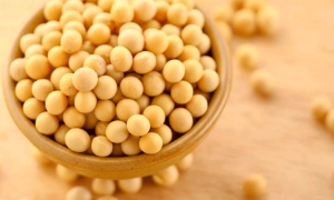 吃对是宝,吃错是草:大豆营养吸收的关键在于吃法
