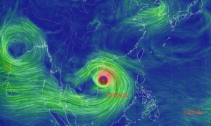 原创 
            17级以上风王2次登陆我国:大暴雨不停,台风博罗依路径争议大