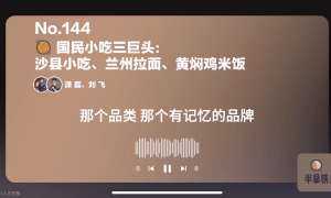喜马拉雅、B站纷纷下场,视频播客是新战场还是伪需求?