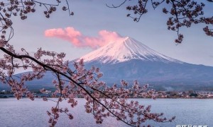 又是武士道!难怪我国忽然报道歼16拦隐身机!原来日美澳有大动作