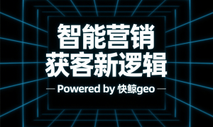 快鲸GEO开启搜索新时代:深度解析API搜索优化与个性化策略