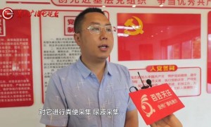 黔灵山公园“邋遢狮”让网友操碎了心?园方:它有自己的审美