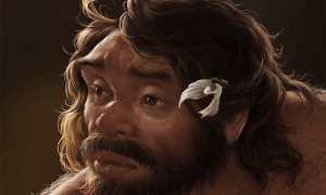 最新研究刷新人类演化时间线