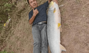 男子钓上79斤大鱼,背着在街上显摆20多分钟,当事人:有人想出1000元买,自己没卖