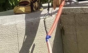 5岁男童小区景观池触电身亡,父亲:先不谈赔偿,希望追究相关人员刑责