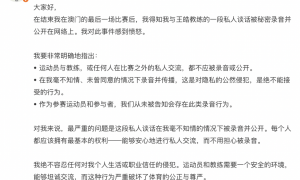 与王皓私人谈话录音被曝光,德乒名将邱党凌晨愤怒发文