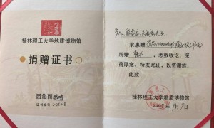 陨石猎人算出“火流星”落地点,挖出423公斤的“茂名”:跟做梦一样,感觉很恍惚